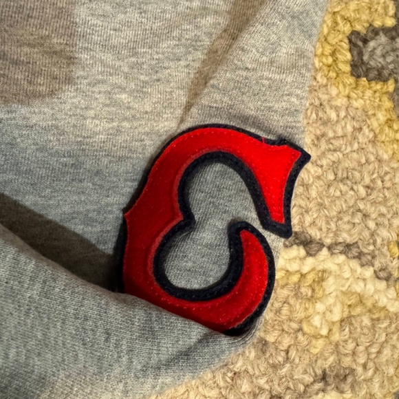 Ebbets Field Flannels Cleveland Buckeyes French Terry Script Hooded Sweatshirt M - Picture 5 of 5